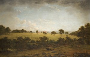Tabley：拥有远处房子景观的公园 作者 安东尼·戴维斯