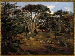 Les vieux cedres sur le Mont Liban a Boumana 安托万-阿尔方斯-蒙特福特（1802-1884）的画作 19世纪 太阳 0,32x0,44米 巴黎，奥赛博物馆 作者 安托万·阿方斯·蒙福特