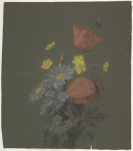 花卉设计 作者 安托万·伯戎（Antoine Berjon）