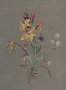 花卉设计，约1820年。
