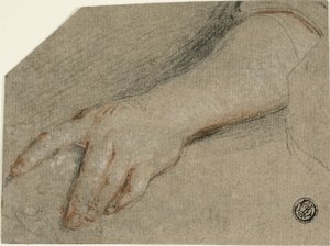 手尖和前臂 作者 安托万·科佩尔