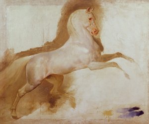 Joachim Murat的马，c。 1832