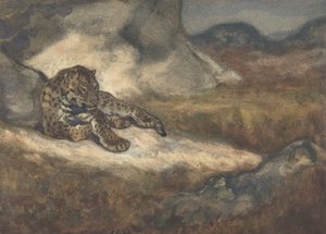 躺着的豹子，1810-75。 作者 安托万·路易斯·巴里