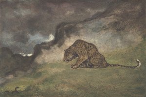 豹子看蛇》，1810-75。 作者 安托万·路易斯·巴里