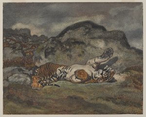 滚动虎，1840年（纸上wc） 作者 安托万·路易斯·巴里