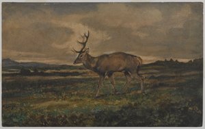 Stag Walking（wc在纸上） 作者 安托万·路易斯·巴里