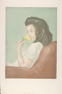 茶玫瑰，c.1900（彩色蚀刻）