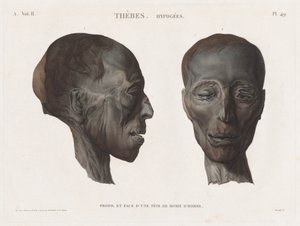 埃及描述：底比斯。Hypogees 卷 II，Pl.49 作者 亨利·约瑟夫·雷杜特