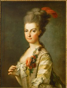 身着条纹丝绸裙的玛丽-克里斯蒂娜大公夫人（布面油画）