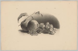 苹果、浆果、黑莓和葡萄 Bloem en Fruit Studien (...) 第三集（系列标题）