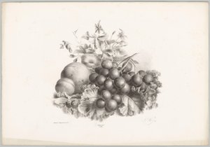 花卉、桃子、油桃、葡萄和黑莓
花果研究》（......）第 10 期（系列名称） 作者 Desguerrois and Co.