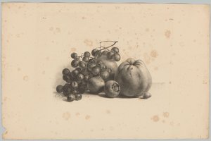 葡萄和苹果 Bloem en Fruit Studien (...) 第三集（系列标题）