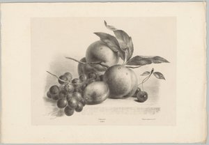 葡萄、李子、桃子和樱桃 Bloem en Fruit Studien (...) 第 10 集（系列标题） 作者 Desguerrois and Co.