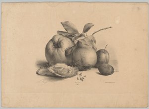水果、李子和牡蛎 Bloem en Fruit Studien (...) 第 10 集（系列标题） 作者 Desguerrois and Co.