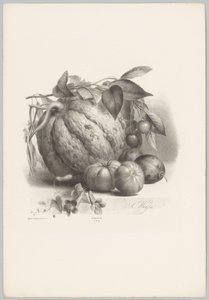 南瓜、西红柿和樱桃
花果研究（......）第 10 期（系列名称） 作者 Desguerrois and Co.