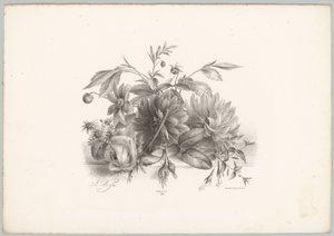玫瑰、大丽花和紫红色 Bloem en Fruit Studien (...) 第 10 集（系列标题）