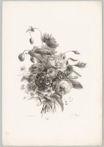 玫瑰和其他花卉
花卉和水果研究（......） 第 10 集（系列名称） 作者 Desguerrois and Co.