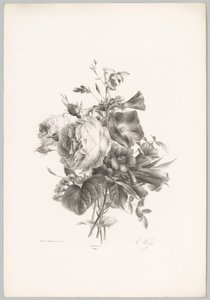 玫瑰和花萼花
花果研究》（......）第 10 期（系列名称） 作者 Desguerrois and Co.