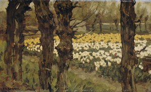 郁金香花田 作者 