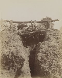 Sehaquieh, Egypt 作者 安东尼奥·比托（Antonio Beato）