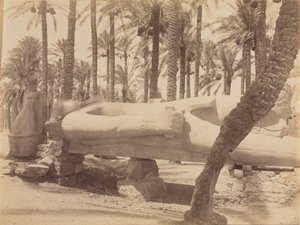 拉美西斯雕像在塞加拉，c。 1870年代-1880年代。 作者 安东尼奥·比托（Antonio Beato）