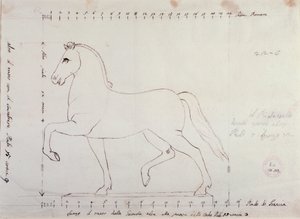 马术纪念碑的马的研究（图画 作者 安东尼奥·卡诺瓦