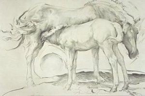 1990年Coolmore的马（纸上的木炭）