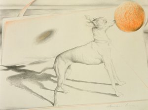 太空狗（纸上的木炭和粉彩） 作者 安东尼奥·西科内