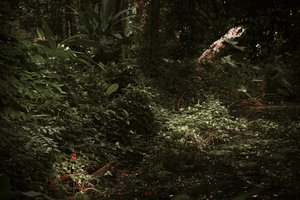 光与影，2025 年（数码摄影）