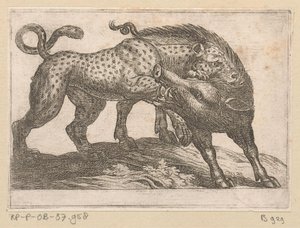 豹子与野猪搏斗
格斗动物（系列名称） 作者 尼古拉·范·阿尔斯特