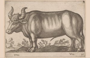 Rund
Vres/Vro（物品上的标题）
Dieren en fabelwezens（系列名称）
Nova raccolta de li animali più curiosi del mondo（系列名称） 作者 乔瓦尼·贾科莫·德罗西（可能）
