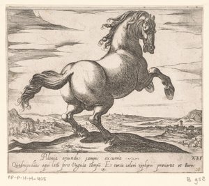 向右转的奔马
来自不同国家的马（系列标题）
His ducibus princeps celebraberis ore viroru illa homines beat haec sideribusq locat（系列标题） 作者 安东尼奥·坦佩斯塔