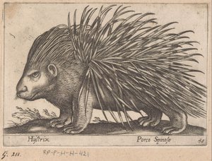 凳子
Hijstrix/ Porco Spinoso（物品上的标题）
Dieren en fabelwezens（系列名称）
Nova raccolta de li animali più curiosi del mondo（系列名称） 作者 乔瓦尼·贾科莫·德罗西（可能）