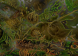 安德斯世界》2014 年第 7 期（图片）