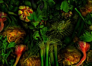 其他世界》2017 年第 20 期（图片）