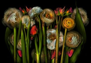 地球艺术植物群 3 号，2024 年（照片）