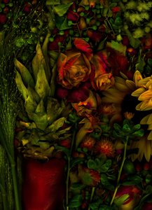 魔幻花园，2011 年第 26 期（照片）