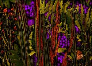 魔幻花园第 39-3 号，2019 年（照片）