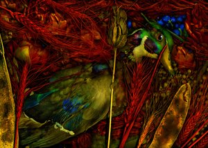 魔幻花园第 76 号，2012 年（照片）