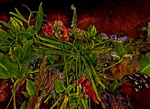 静物，2014年3月（照片）