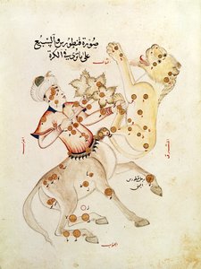 女士5036 fol.238 Centaurus和Leo的星座，来自Abd-al-Rahman Al Sufi的固定星论文（903-986）