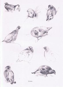 Grouse，1938年 作者 阿奇博尔德·索伯恩
