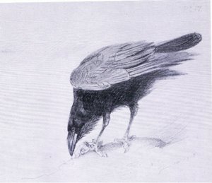 Raven, pub. by Book Club Associates 作者 阿奇博尔德·索伯恩