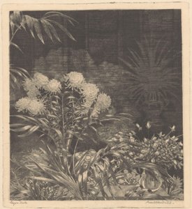 室内摆放花瓶鲜花和花盆植物 作者 Arend Hendriks（艺术家签名）