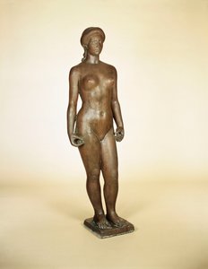 研究植物区系 作者 阿里斯蒂德·马约尔