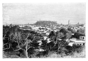 叙利亚阿勒颇，1895年。