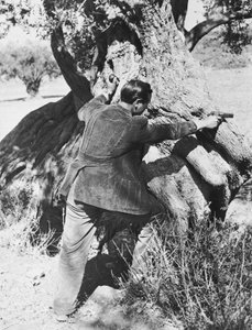Salvatore Giuliano指着1937年的手枪