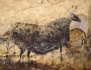 黑牛。拉斯科洞穴绘画，约公元前16.000-15.000年。 作者 旧石器时代晚期的艺术。