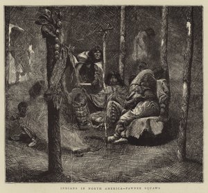 北美的印第安人，Pawnee Squaws