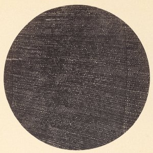 木头Salisburia横断面的显微照片，1870年代。 作者 阿瑟·达勒姆